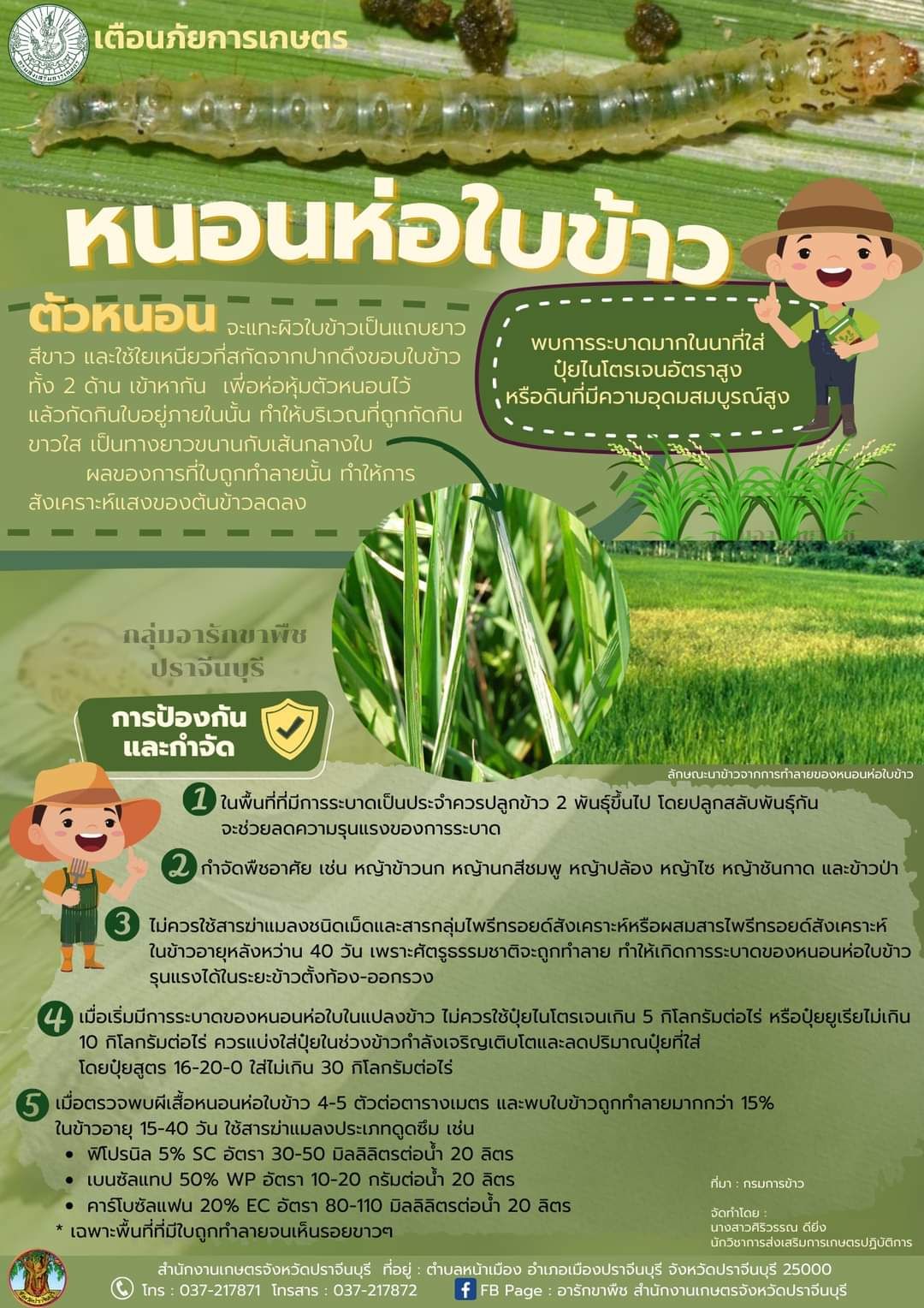 หน้อนห่อใบข้าว