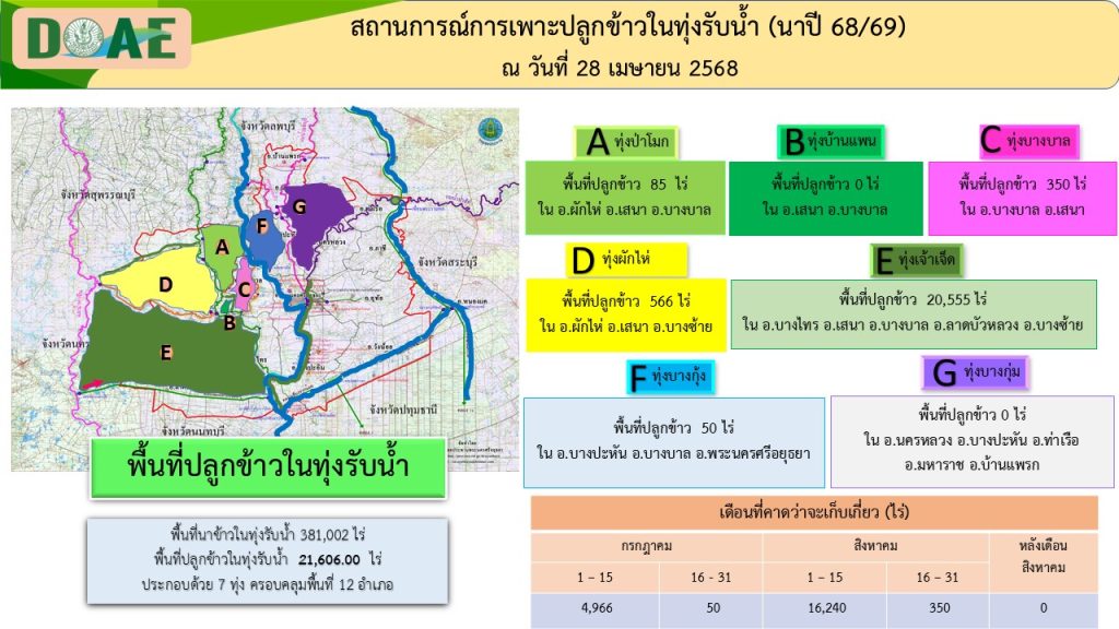 Slide5