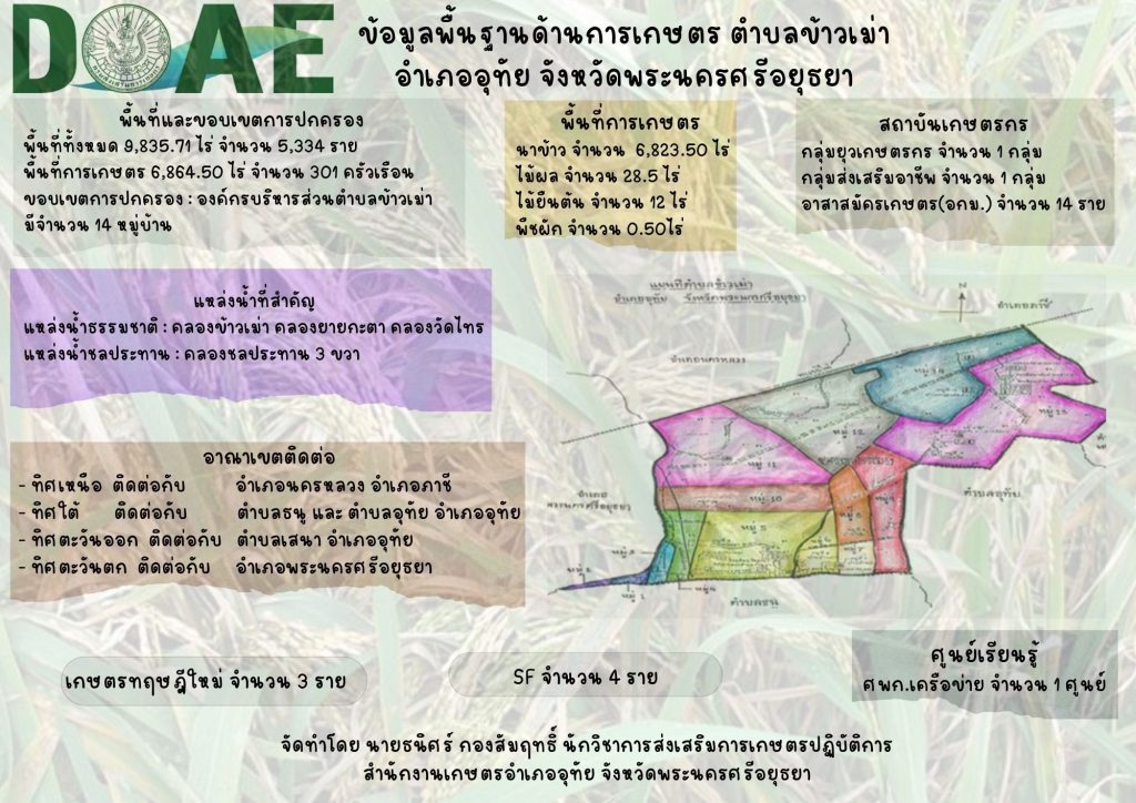 ข้อมูลพื้นฐาน ข้าวเม่า 1 68