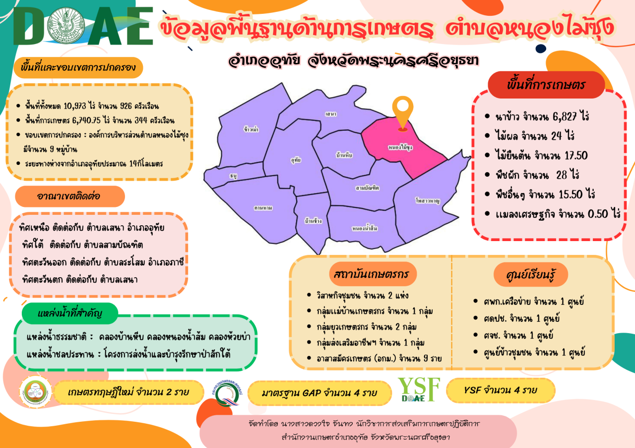 ข้อมูลพื้นฐาน-ตำบลหนองไม้ซุง-1280x905